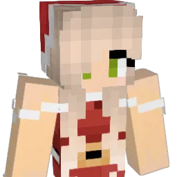 Cuitecat Minecraft avatar bust