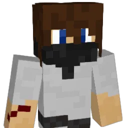 CurryKings Minecraft avatar bust