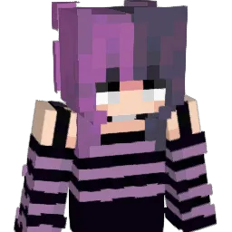 Custe_ Minecraft avatar bust