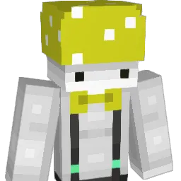 CustomDigit Minecraft avatar bust