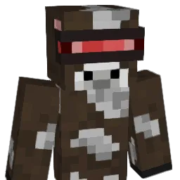 Cy555pek Minecraft avatar bust