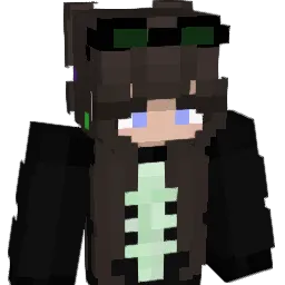 Cyanpurplexed Minecraft avatar bust