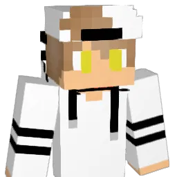 CyberPanda45 Minecraft avatar bust