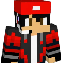 Cybercrusader