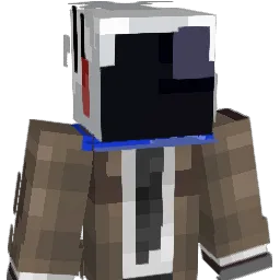 Cyberflipping Minecraft avatar bust