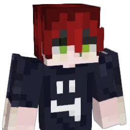 D036_DXRk Minecraft avatar bust