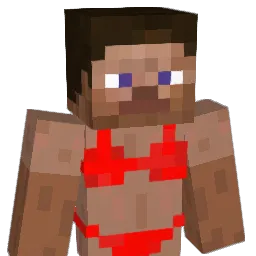 D0D0bird1 Minecraft avatar bust