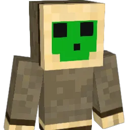 D0L1PRAN3 Minecraft avatar bust