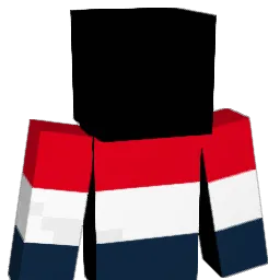 D0U9A11 Minecraft avatar bust