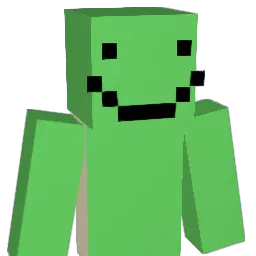 D1Pickleball Minecraft avatar bust