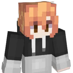 D1isco Minecraft avatar bust