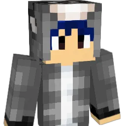 D1llP800YT