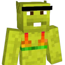 D1vis1on Minecraft avatar bust