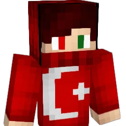 D2T3N9 Minecraft avatar bust