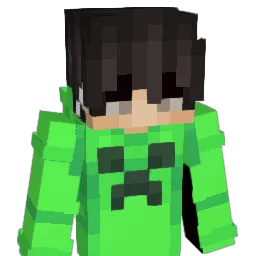 D31126 Minecraft avatar bust