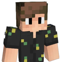 D311 Minecraft avatar bust
