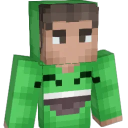 D33D5 Minecraft avatar bust