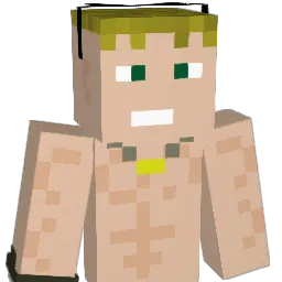 D3nk3 Minecraft avatar bust