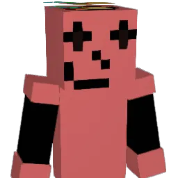 D3t3rminati0n Minecraft avatar bust