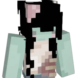D423's Minecraft skin
