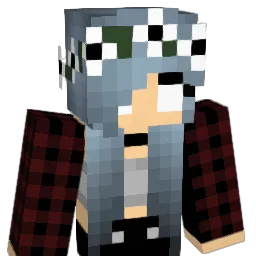 D4k_Noisy Minecraft avatar bust