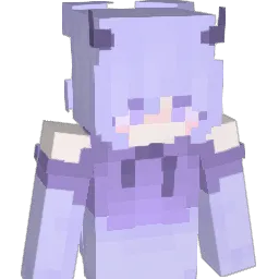 D4kota1 Minecraft avatar bust
