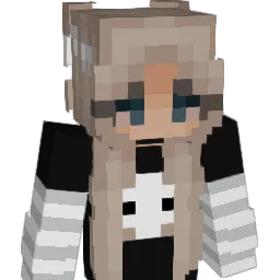 D4mnitKass Minecraft avatar bust