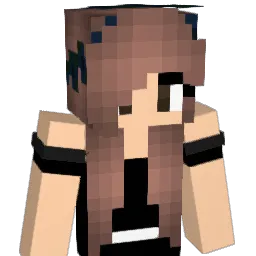 D4rkFlower Minecraft avatar bust