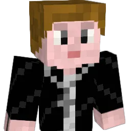 D74 Minecraft avatar bust