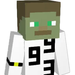 D9A9N9I Minecraft avatar bust