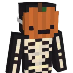 DAMH00 Minecraft avatar bust