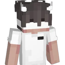 DAMIII2014 Minecraft avatar bust