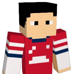 DAN572 Minecraft avatar bust