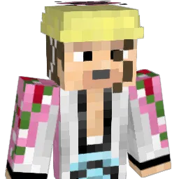 DAUODDY Minecraft avatar bust