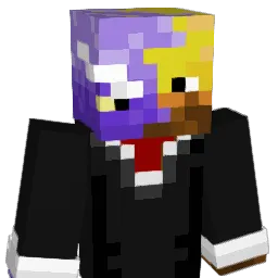 DAVIDMIU2019 Minecraft avatar bust