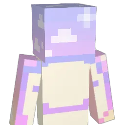 DBSQNASLDKN Minecraft avatar bust