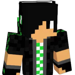 DCDC007 Minecraft avatar bust