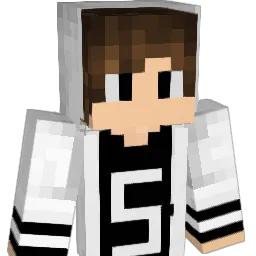 DCNTH1 Minecraft avatar bust