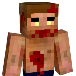 DC_ Minecraft avatar bust