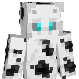 DD0SS