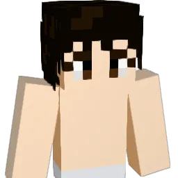 DD0ngMH Minecraft avatar bust