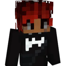 DD223 Minecraft avatar bust