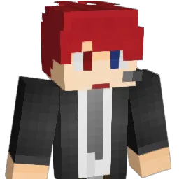 DDDDDN Minecraft avatar bust