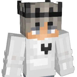 DDHOUSTON Minecraft avatar bust