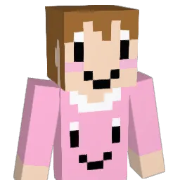 DDi889 Minecraft avatar bust