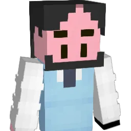 DDos_503 Minecraft avatar bust