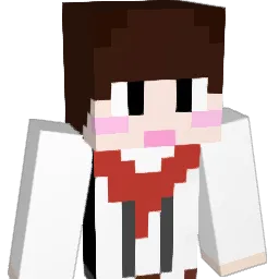DDotty1010 Minecraft avatar bust