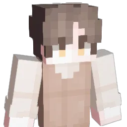 DDungza Minecraft avatar bust