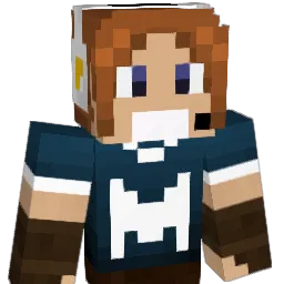 DEDEZINHO12 Minecraft avatar bust