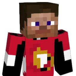 DEG11 Minecraft avatar bust